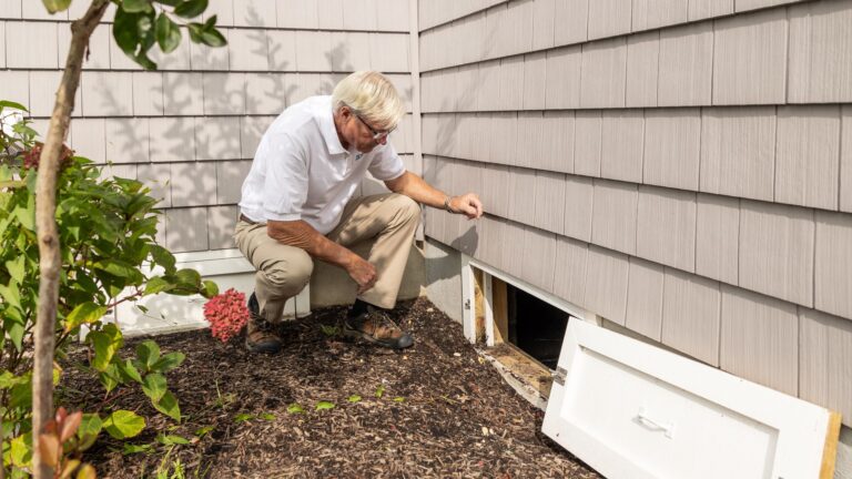 Drain de fosse septique saturé : causes, signes et solutions